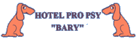 HOTEL PRO PSY BARY